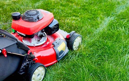 Mowing a gardening